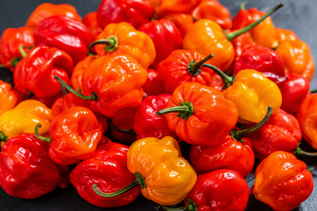 Cooked  & Seasoned Hot Scotch Bonnet Pepper Sauce (1KG)